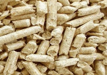 Biomass Fuels – Taking Alternative Energy To The Next Level